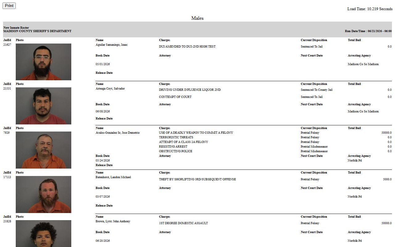Madison County Jail roster used for Wayne County inmate lookup fields